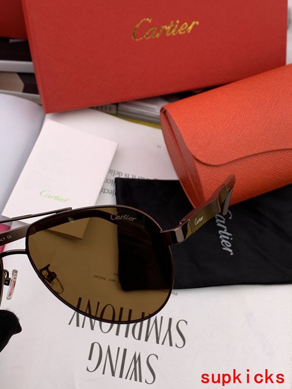 Cartier Luxury Sunglasses