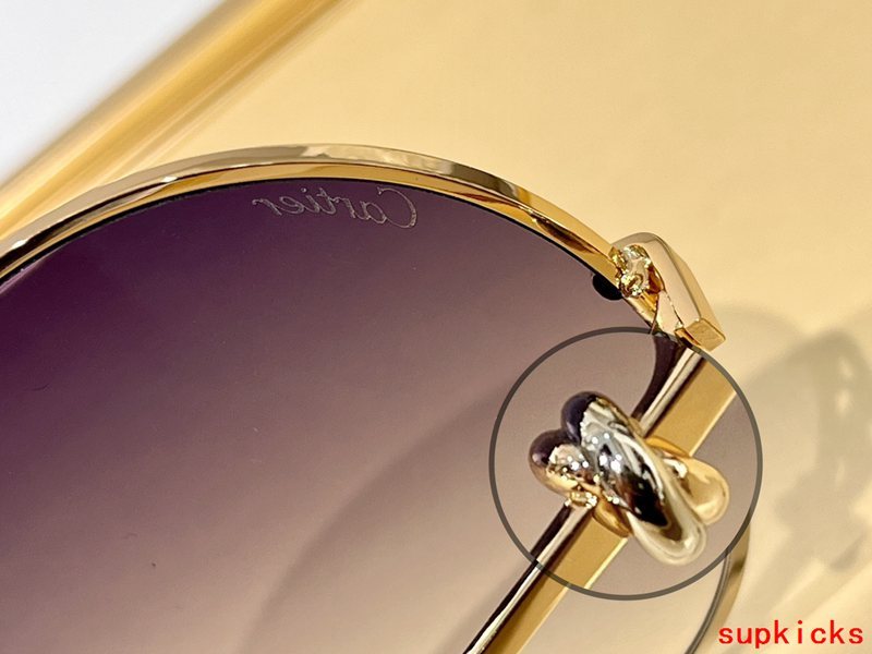 Cartier Luxury Sunglasses