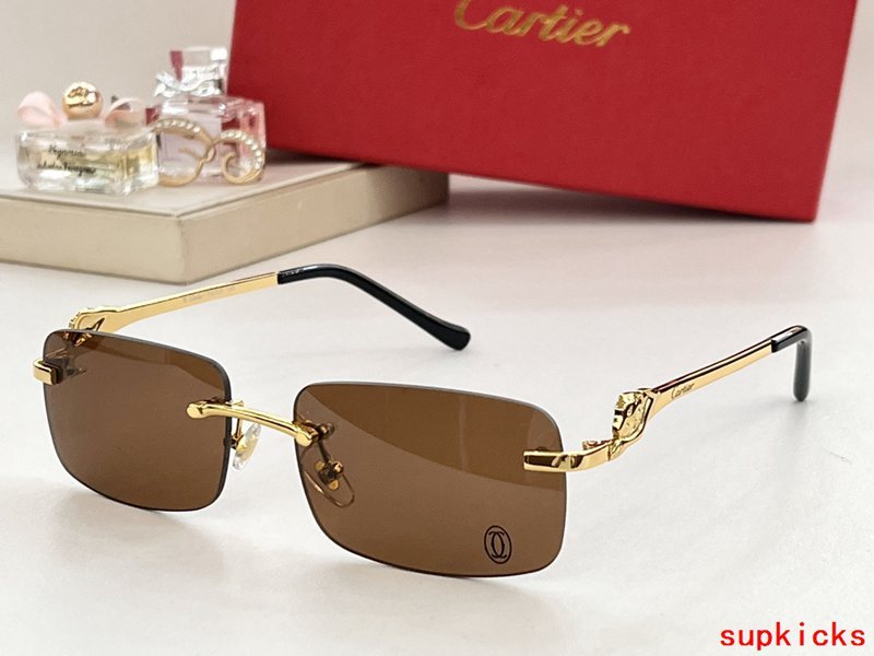 Cartier Luxury Sunglasses
