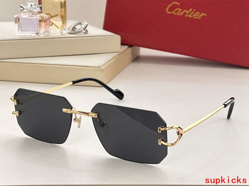 Cartier Luxury Sunglasses