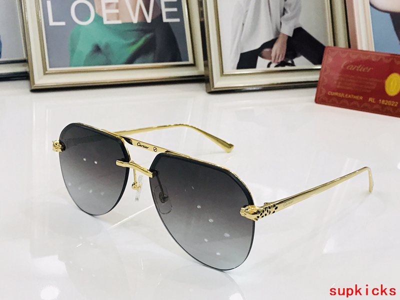 Cartier Luxury Sunglasses