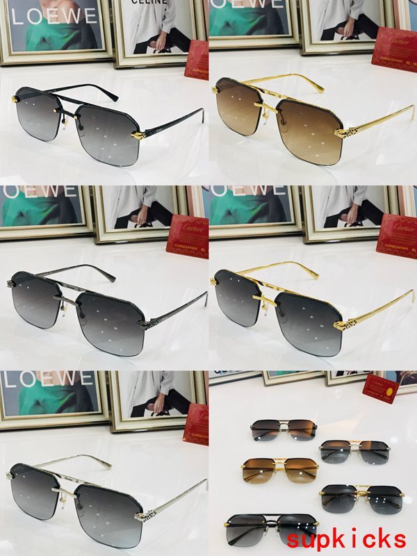 Cartier Luxury Sunglasses