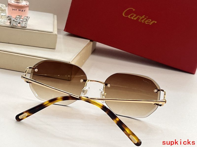 Cartier Luxury Sunglasses