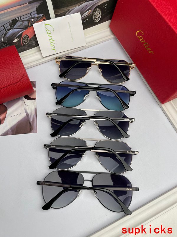 Cartier Luxury Sunglasses