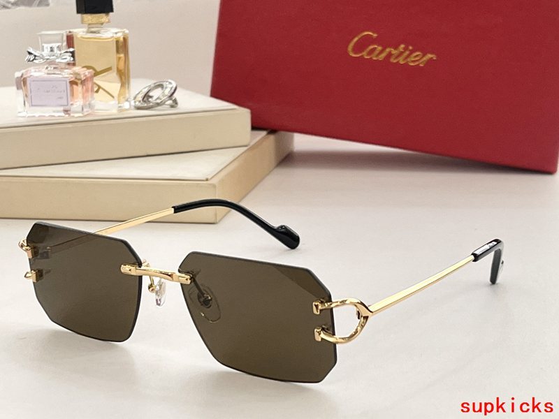 Cartier Luxury Sunglasses
