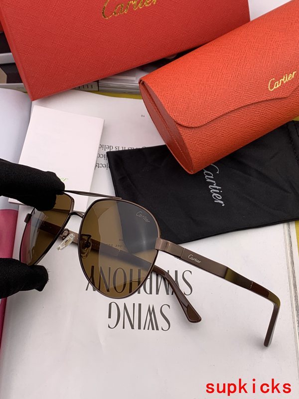 Cartier Luxury Sunglasses
