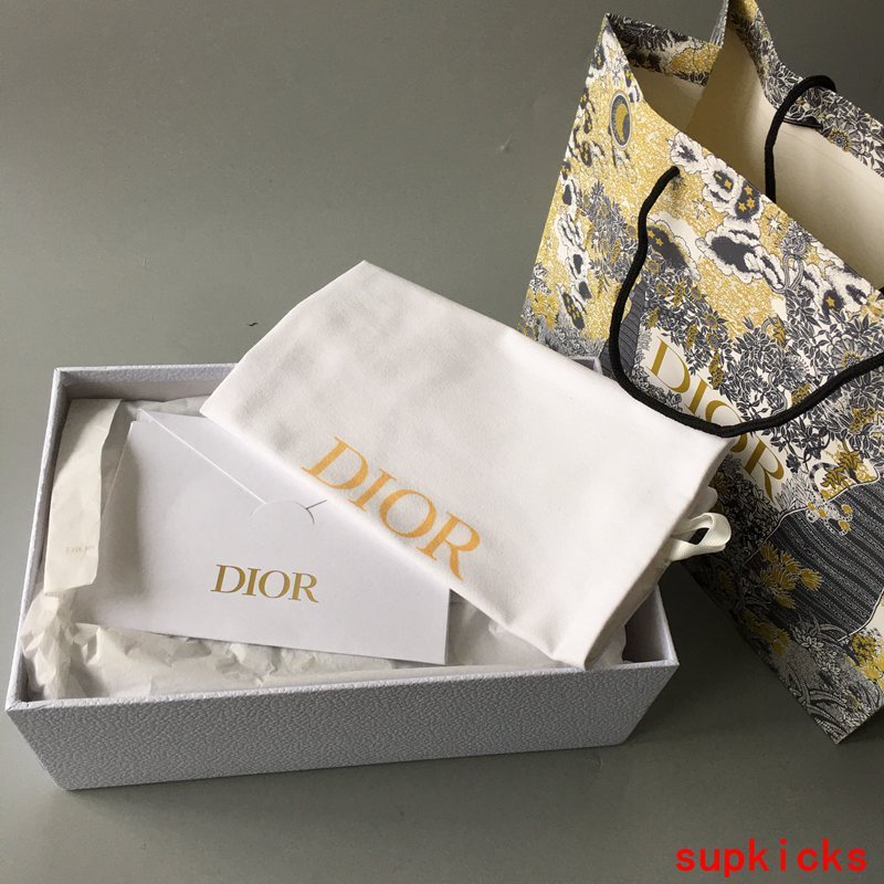 Dior Luxury Shoes