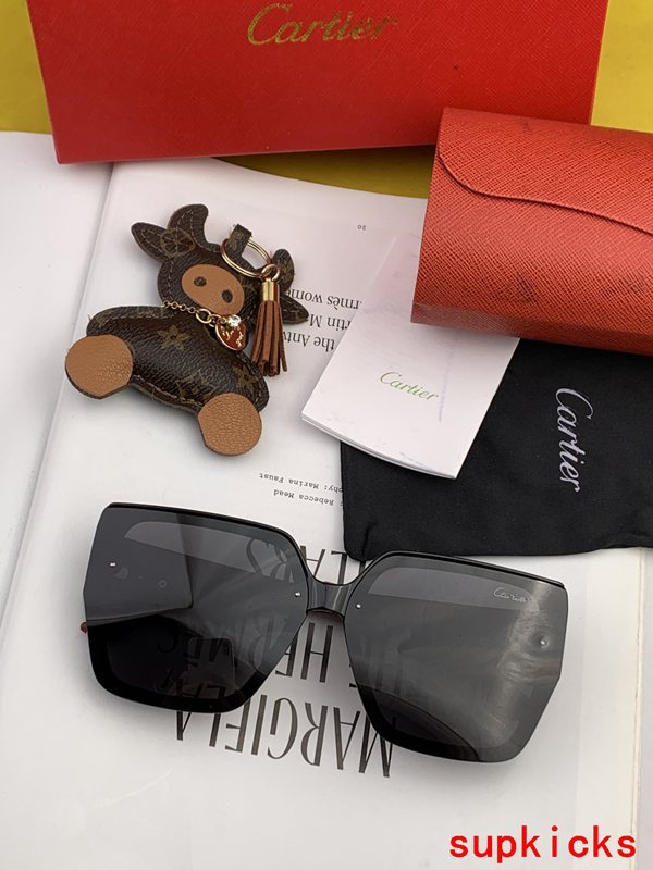 Cartier Luxury Sunglasses