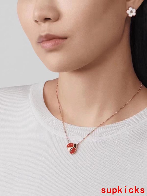 Van Cleef & Arples Jewelry