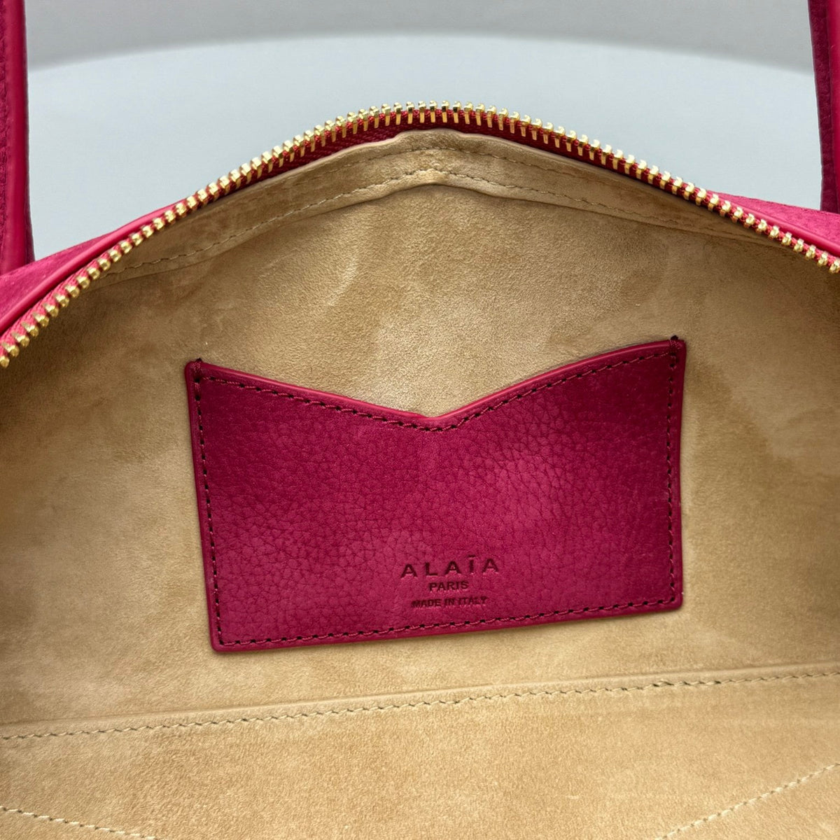 ALAIA LE TECKEL MEDIUM BAG