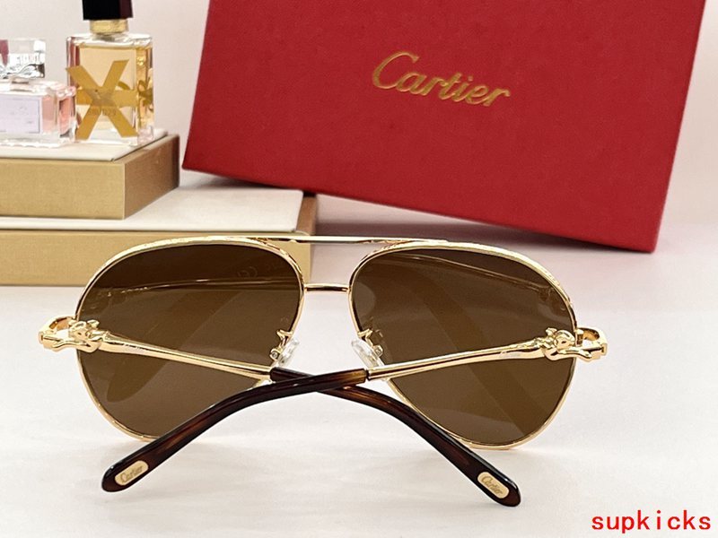 Cartier Luxury Sunglasses