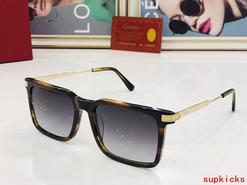Cartier Luxury Sunglasses