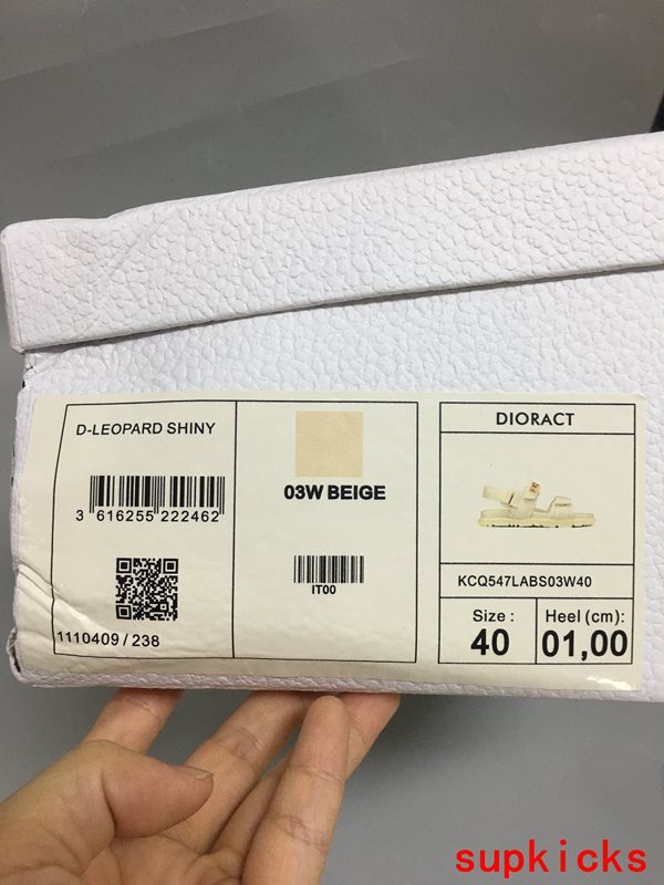 Dior Luxury Shoes