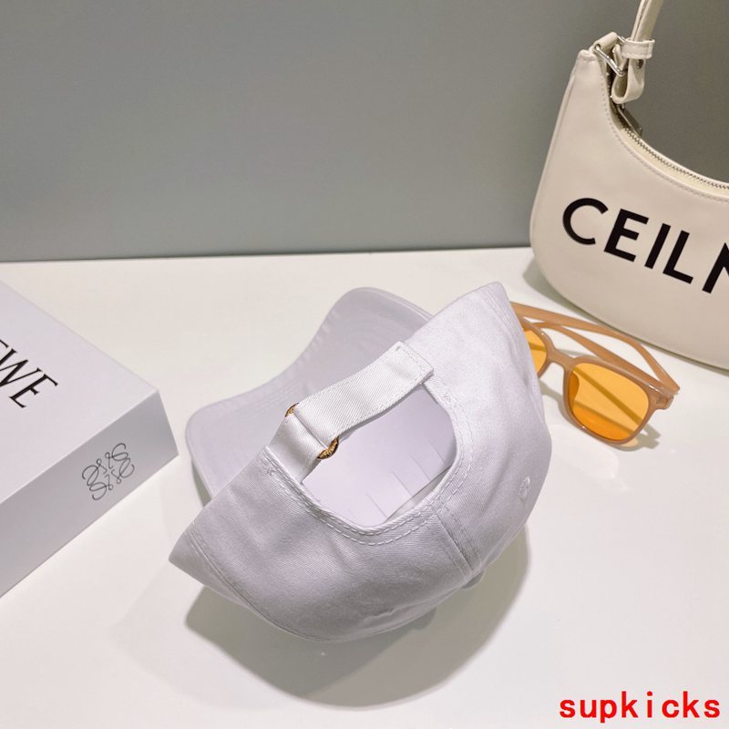 Louis Vuitton Luxury Cap