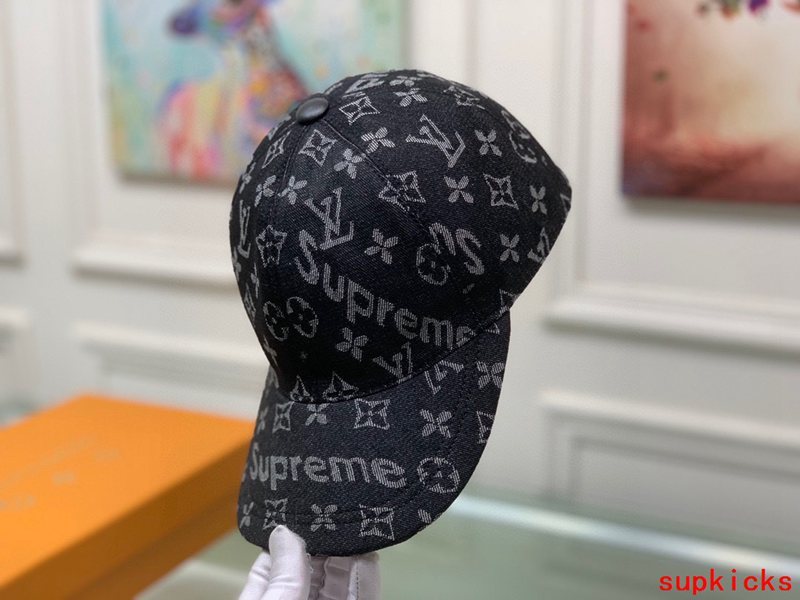 Louis Vuitton Luxury Cap