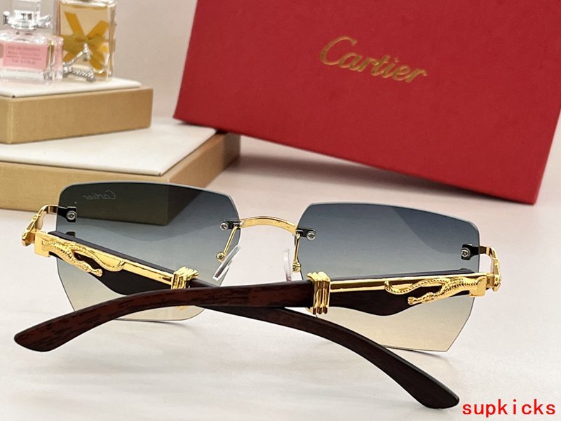 Cartier Luxury Sunglasses
