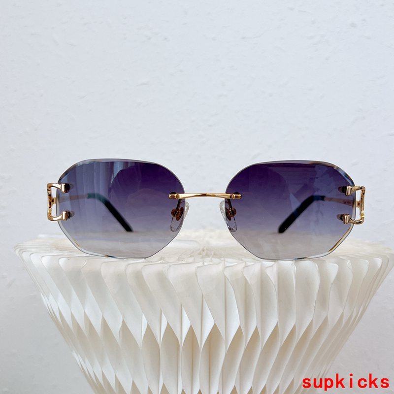 Cartier Luxury Sunglasses