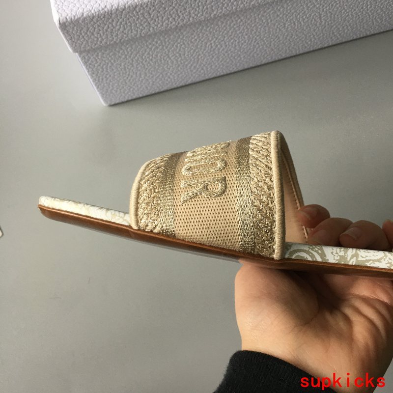 Dior Luxury Shoes
