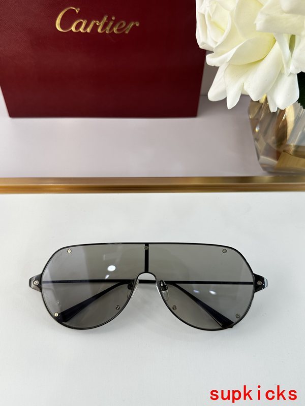 Cartier Luxury Sunglasses