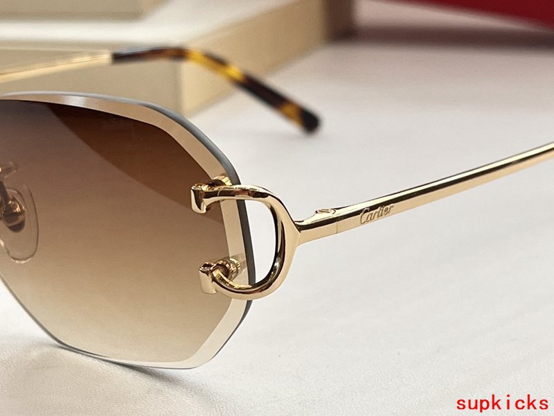Cartier Luxury Sunglasses