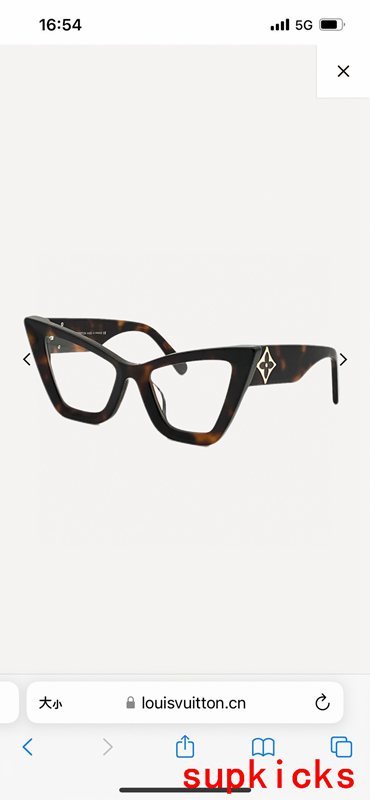 Louis Vuittion Luxury Sunglasses