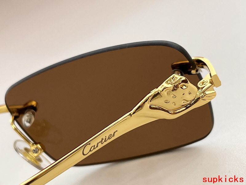 Cartier Luxury Sunglasses