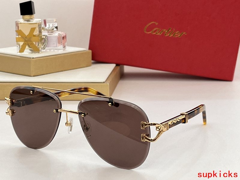 Cartier Luxury Sunglasses