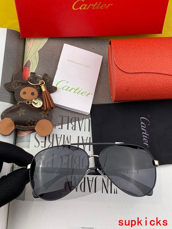 Cartier Luxury Sunglasses