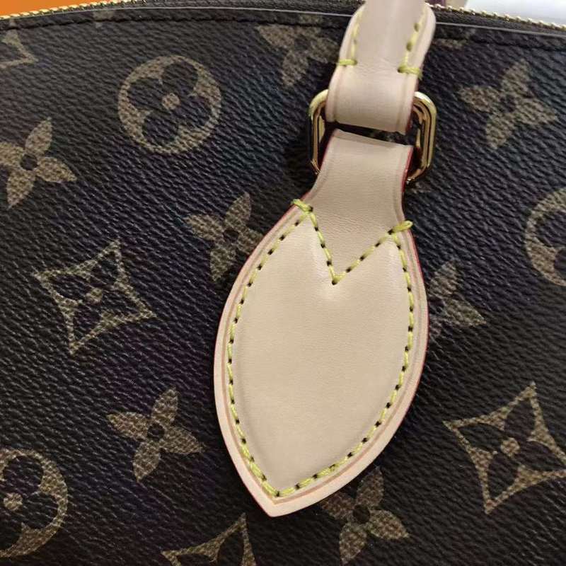 LOV2 Bags - Luxurious Bags  673