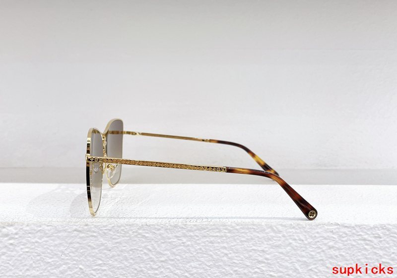 Louis Vuittion Luxury Sunglasses