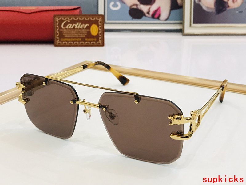Cartier Luxury Sunglasses