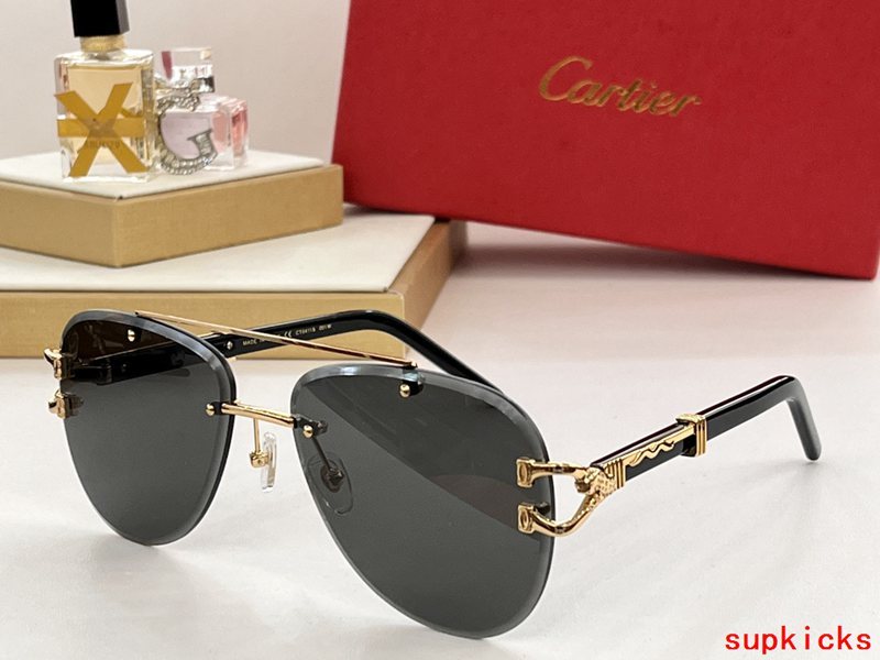 Cartier Luxury Sunglasses