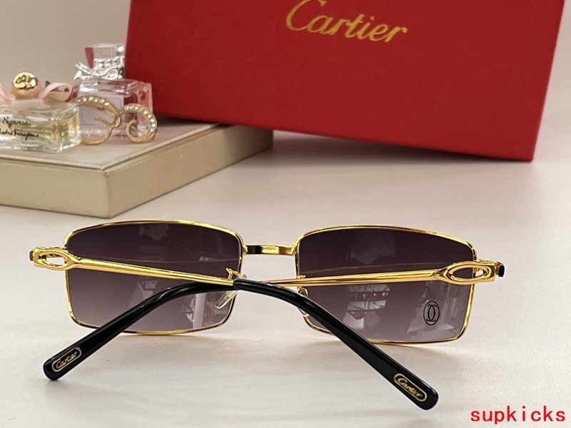 Cartier Luxury Sunglasses