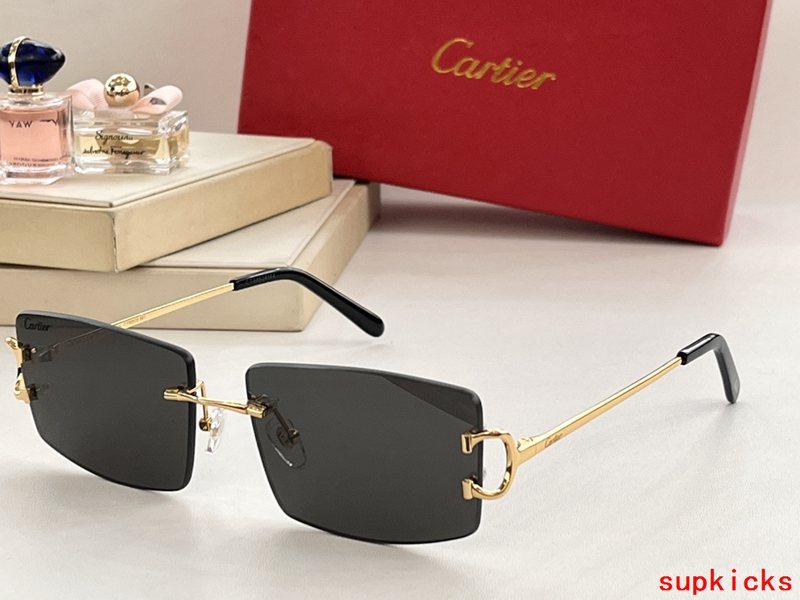 Cartier Luxury Sunglasses