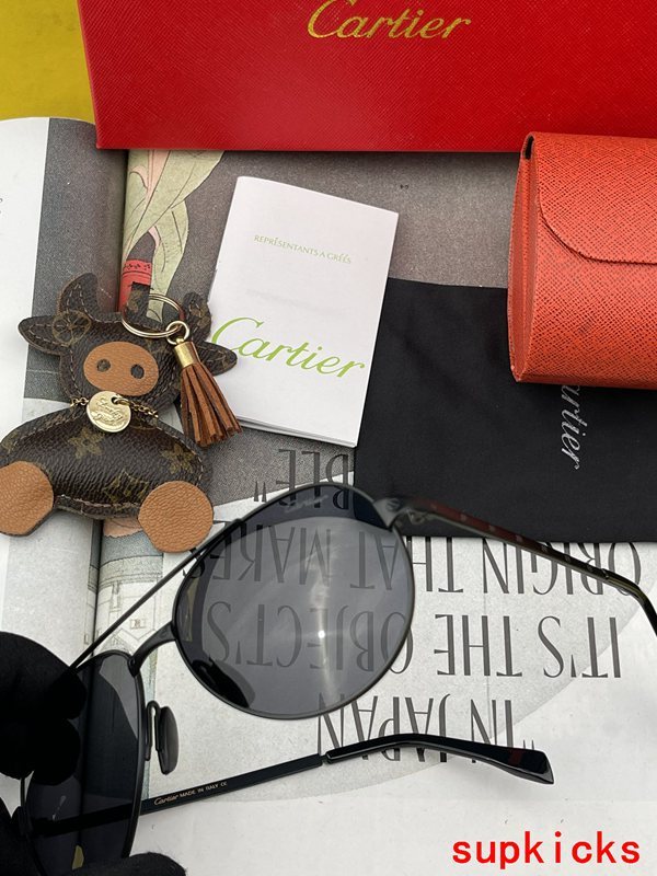 Cartier Luxury Sunglasses
