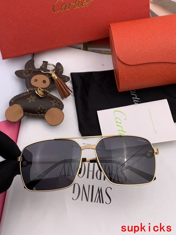 Cartier Luxury Sunglasses