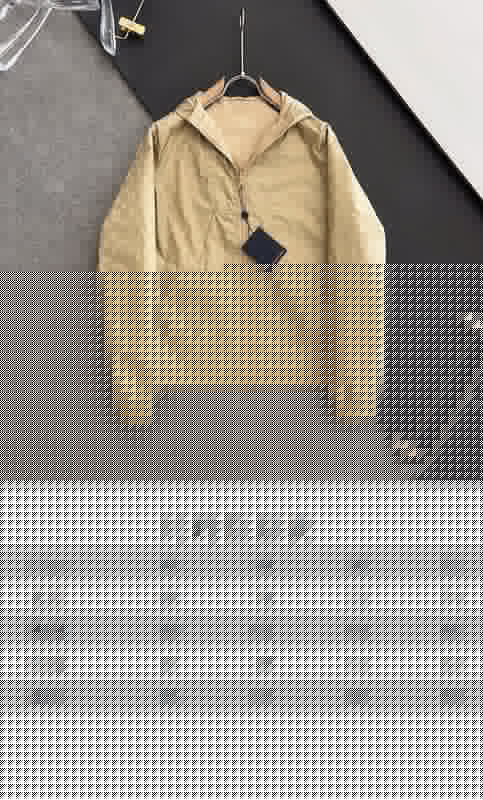 Louis Vuittion Luxury Clothes
