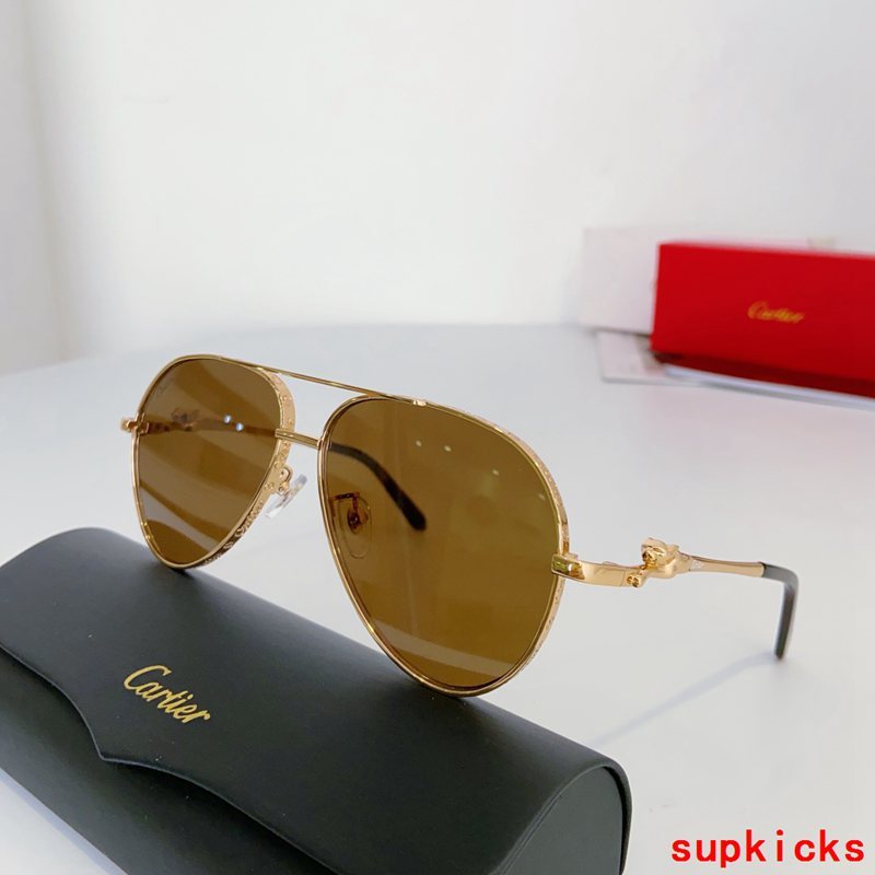 Cartier Luxury Sunglasses