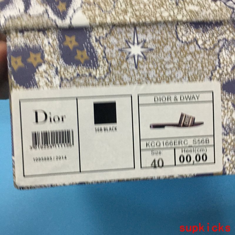 Dior Luxury Shoes