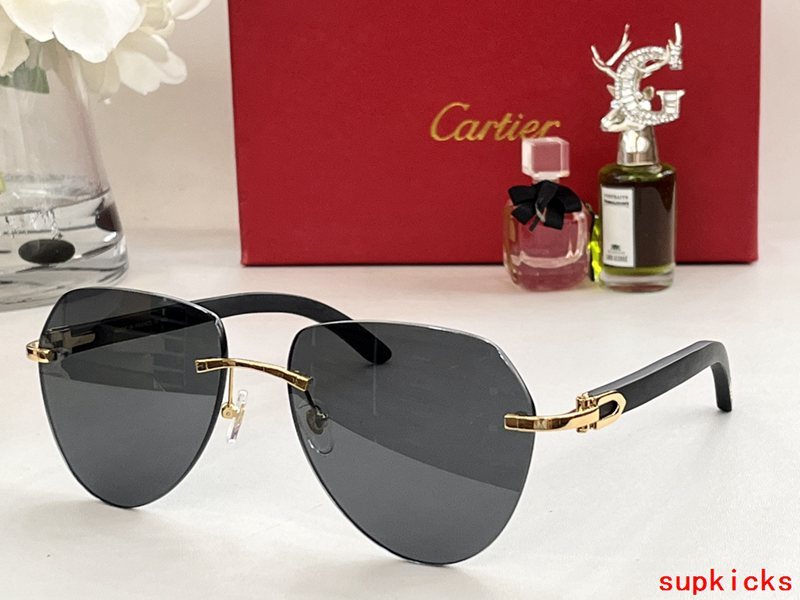 Cartier Luxury Sunglasses