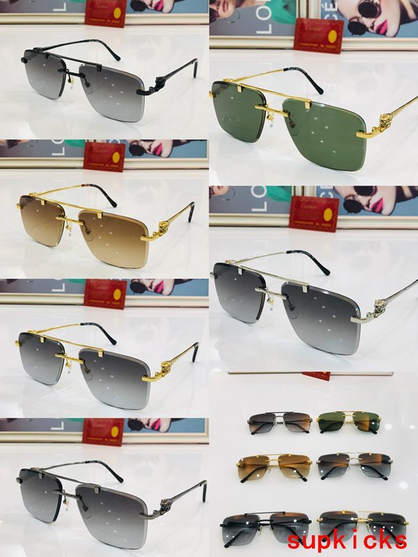 Cartier Luxury Sunglasses