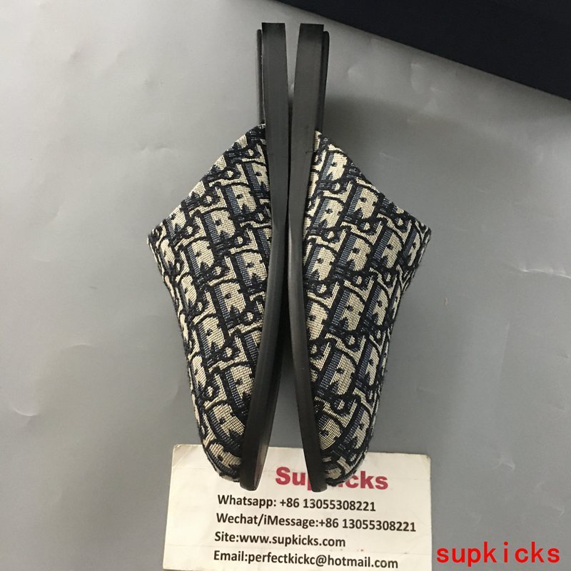Dior Luxury Shoes