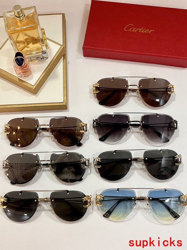 Cartier Luxury Sunglasses