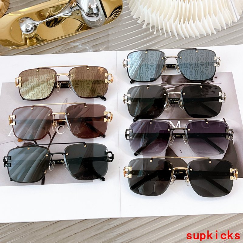 Cartier Luxury Sunglasses