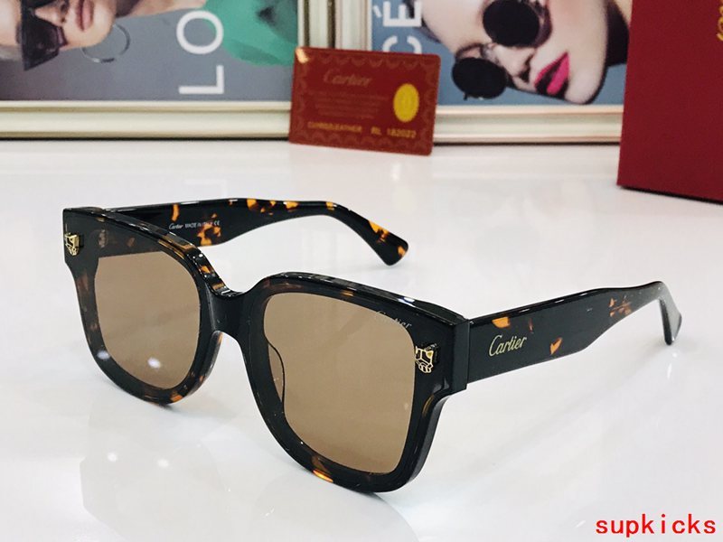 Cartier Luxury Sunglasses