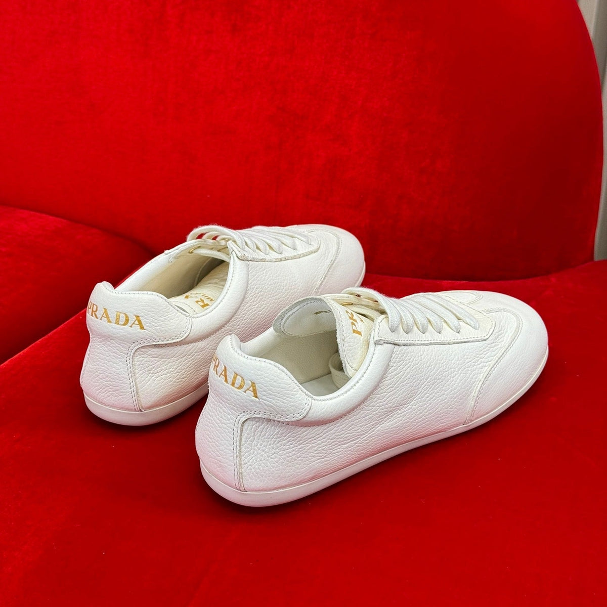 PD TRAINERS