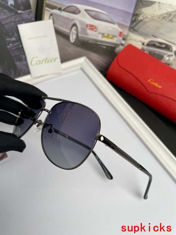 Cartier Luxury Sunglasses