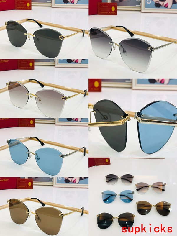Cartier Luxury Sunglasses
