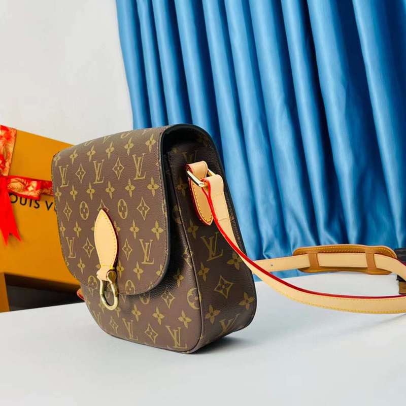 LOV2 Bags - Luxurious Bags  622