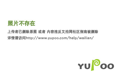 Louis Vuittion Luxury Clothes